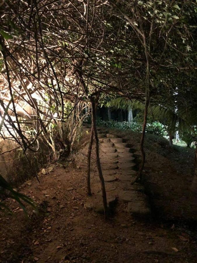 Plasencia Estate Omoa Eksteriør bilde