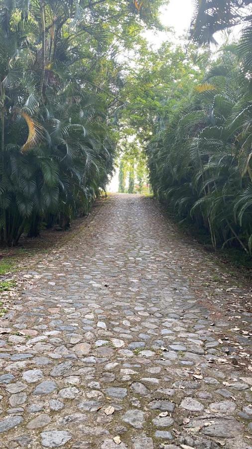 Plasencia Estate Omoa Eksteriør bilde